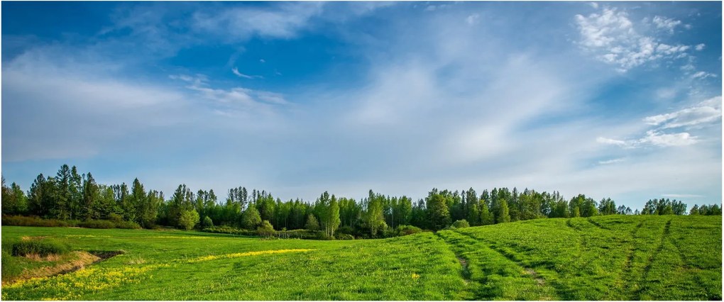 Rét képe (120x50 cm)