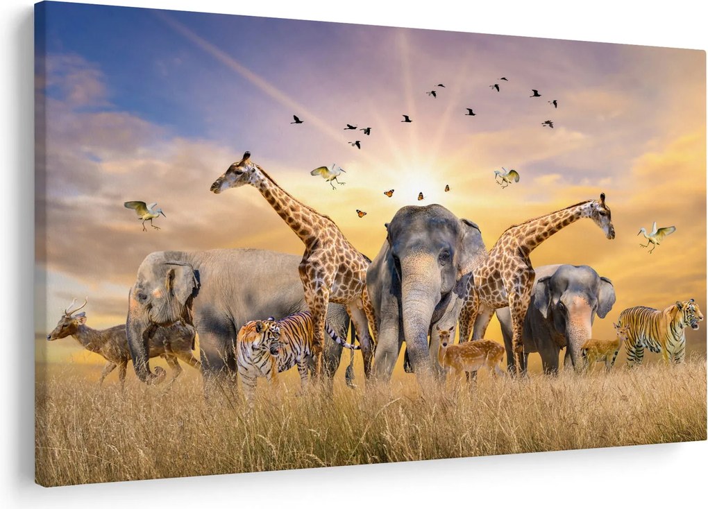 Kép - Afrikai állatok (90x60 cm)