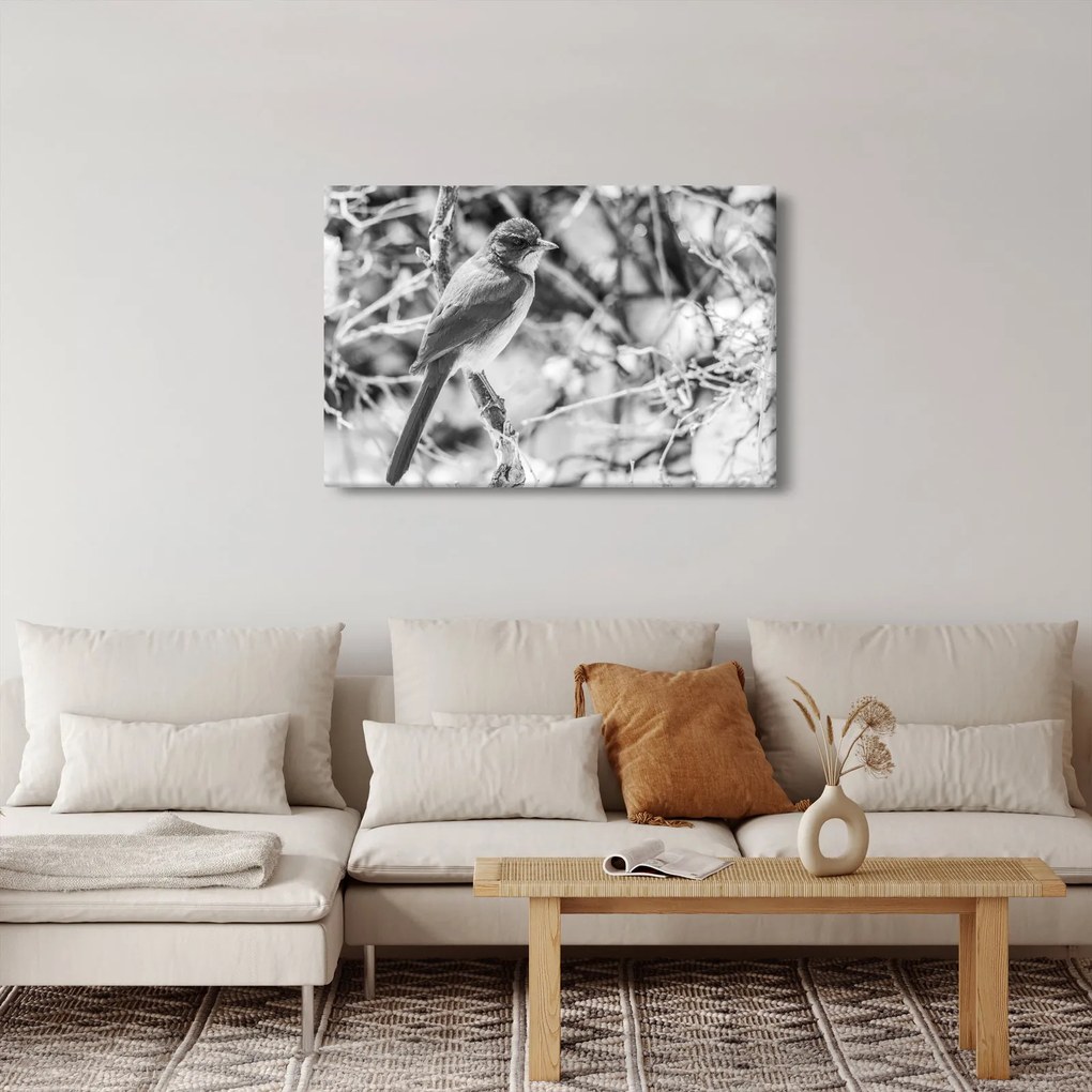 Kép - Kék madár télen (90x60 cm)