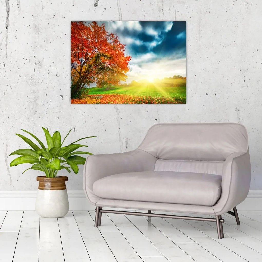 Napsütésben fürdő táj képe (70x50 cm)