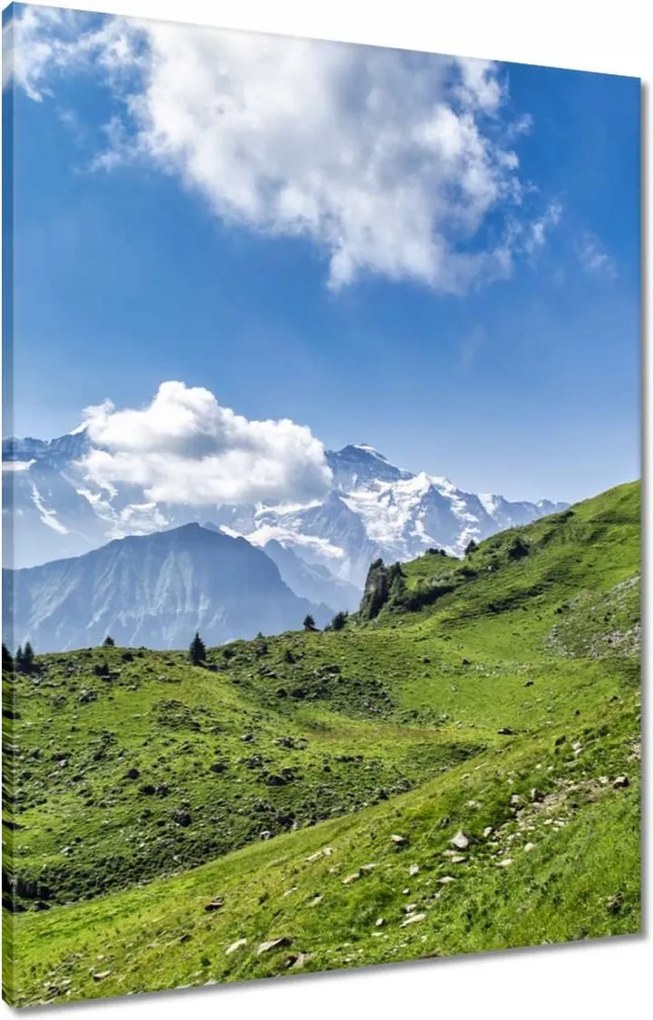 Vászonkép 60x80 Gyönyörű hegyi táj