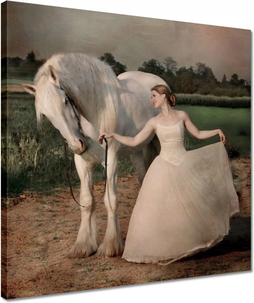 Vászonkép 40x40 Ló Lovak Lovaglás