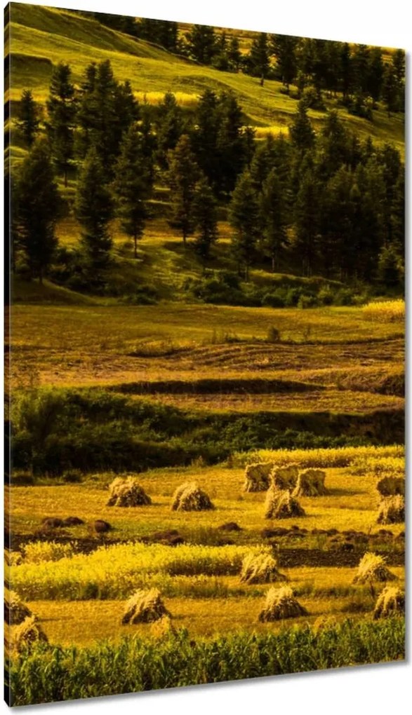 Festmények 80x120 Tájkép Látvány