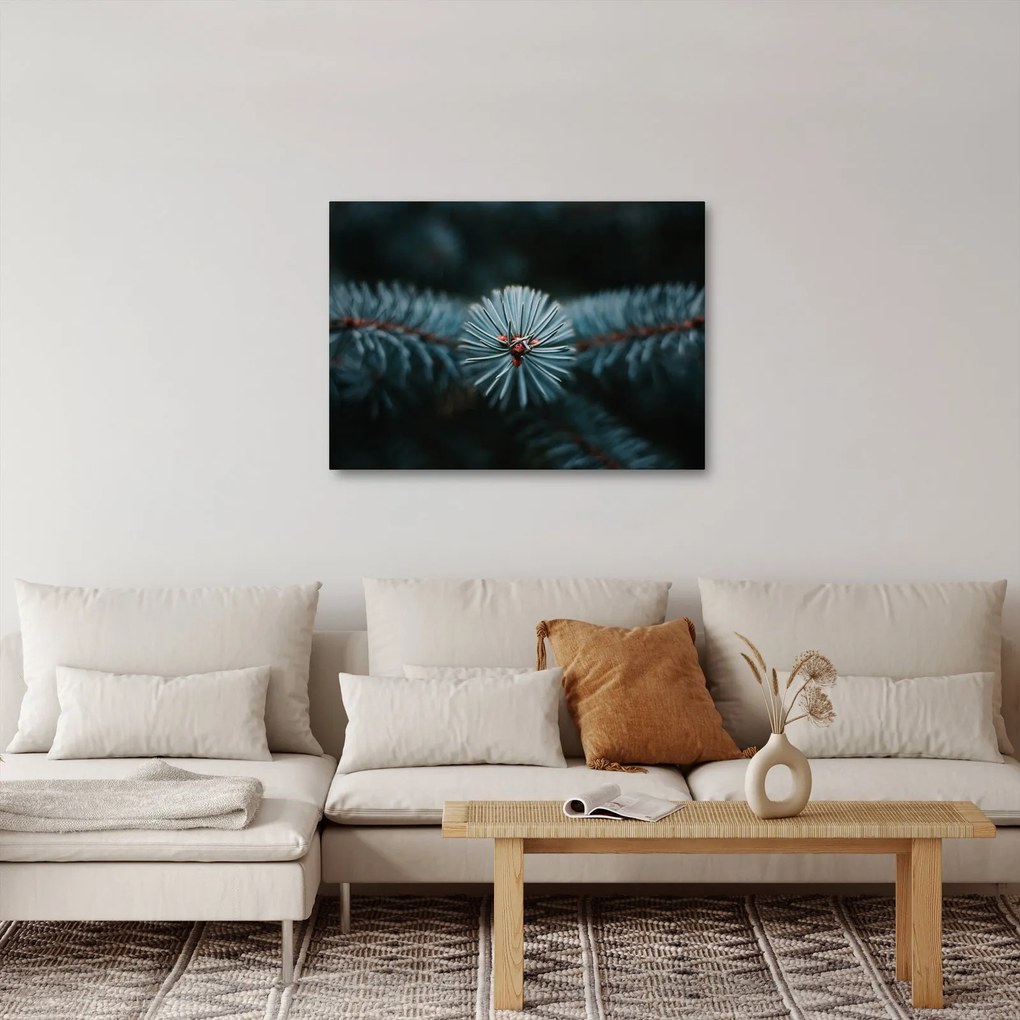 Egy tűlevelű fa gallyának képe (70x50 cm)