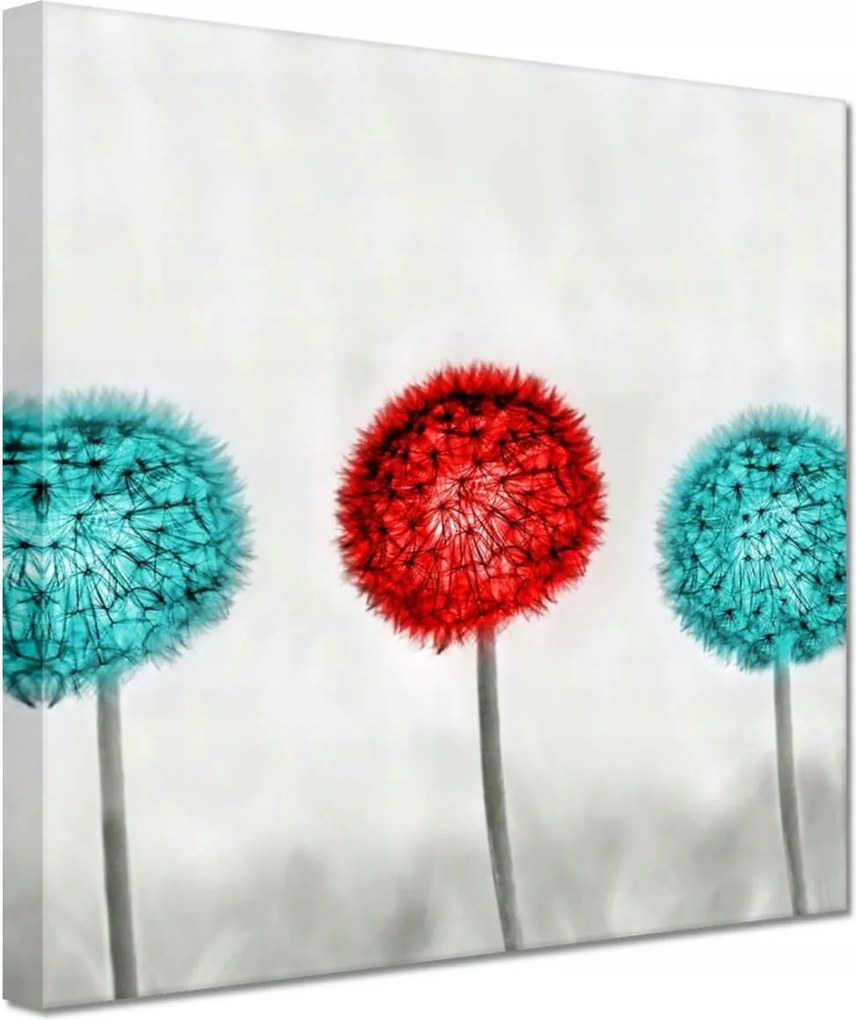 Vászonkép 20x20 Pitypangok