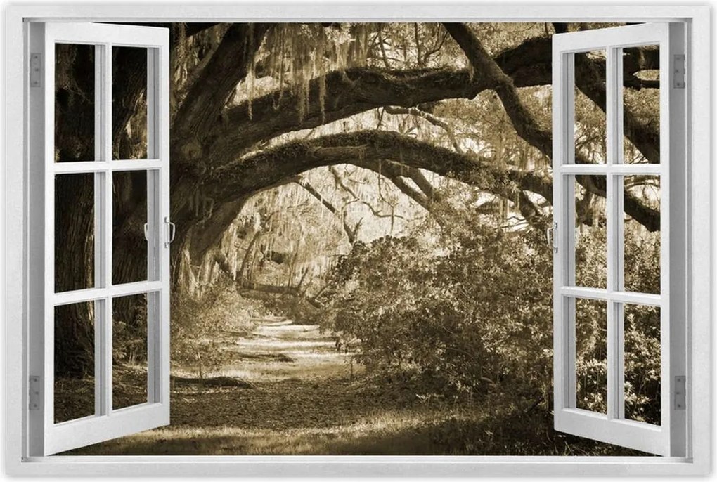 Poszterek 60x40 Tölgyek a Szépia parkban