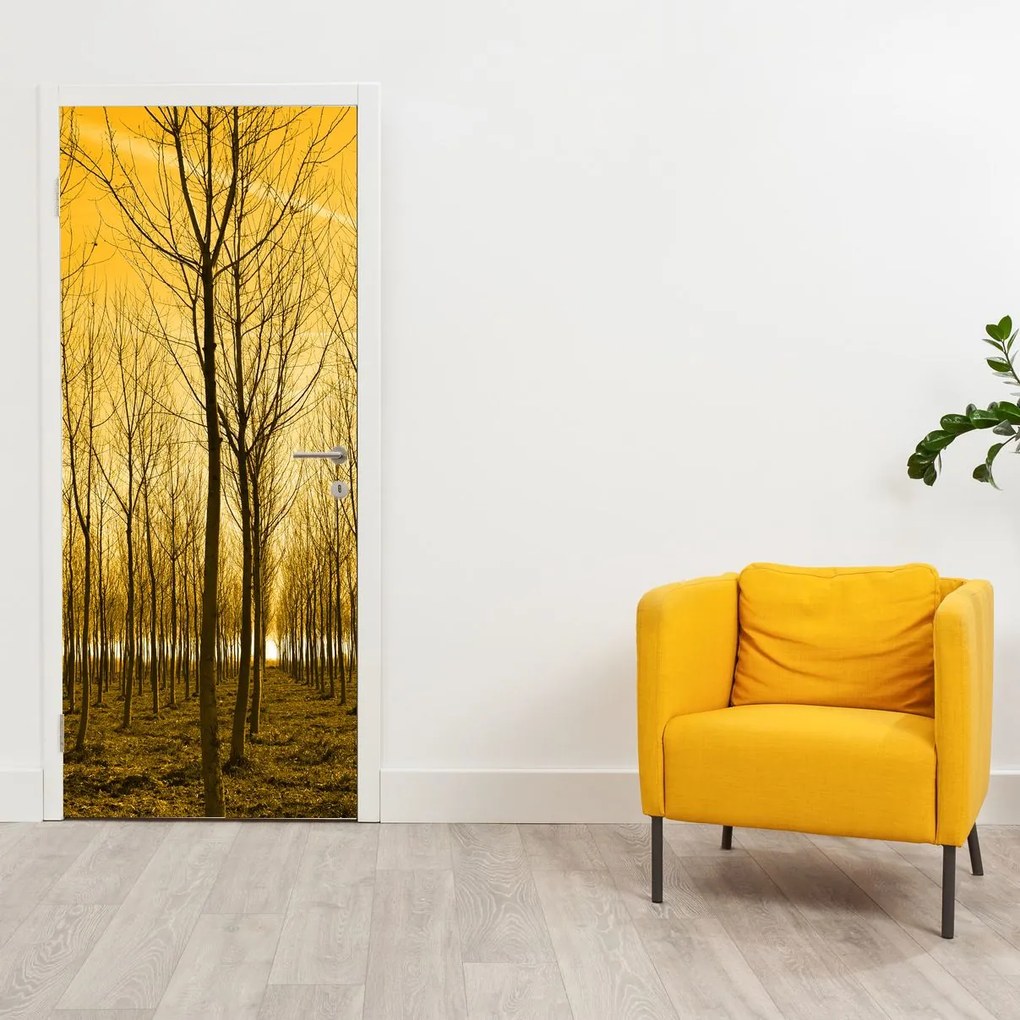 Fotótapéta ajtóra - Erdő naplementekor (95x205cm)