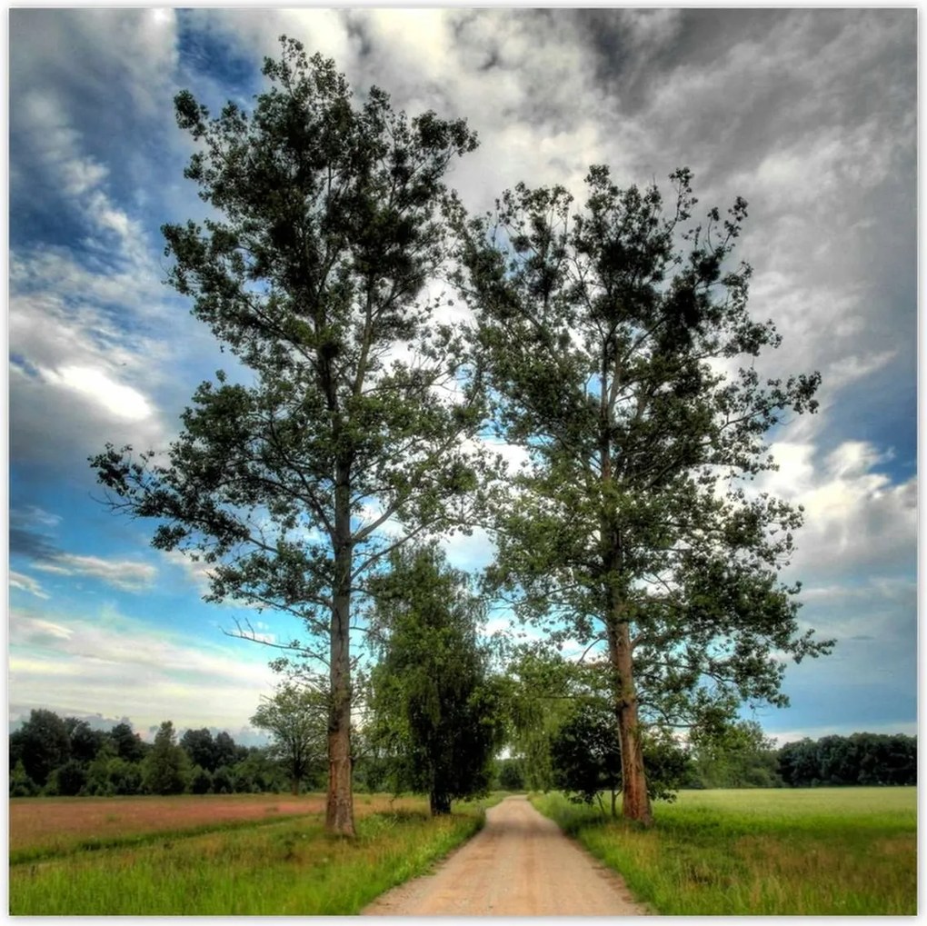 Poszterek 140x140 Vidéki út