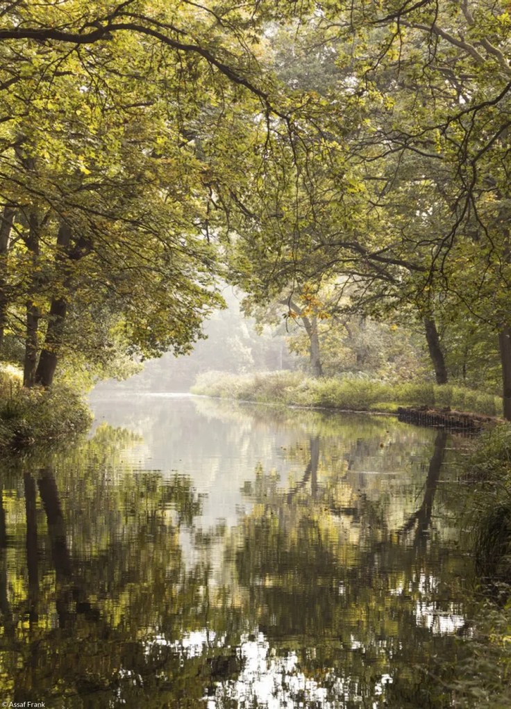 Poszter 20,5x28,4cm Basingstoke csatorna 2, Assaf Frank