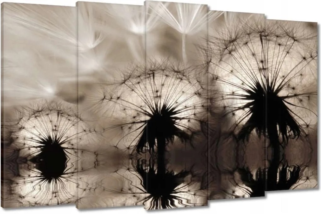 Képek 150x95 Pitypangok szépia papírsárkányok