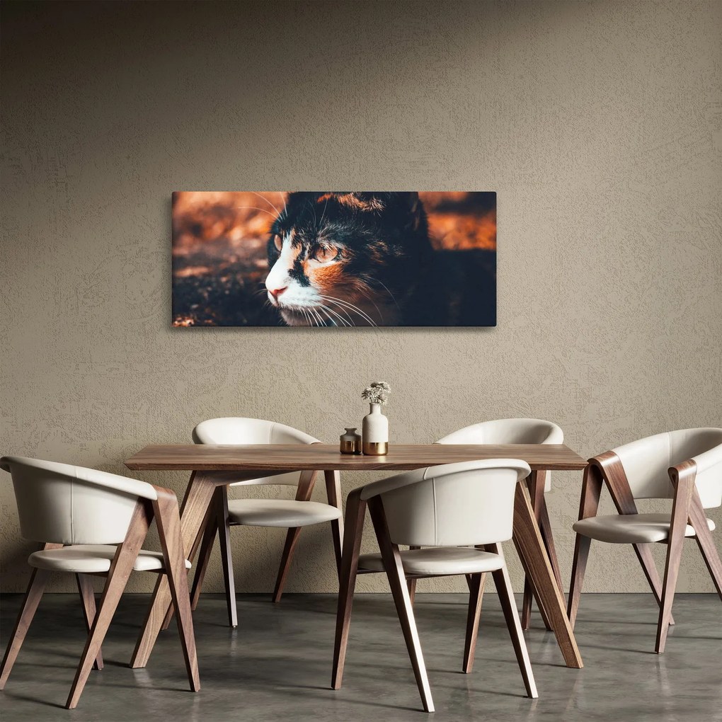 Kép - A macska látképe (120x50 cm)