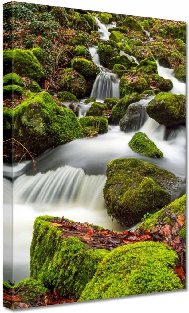 Vászonkép 20x30 Hegyi tájkép patakkal Patak a hegyekben