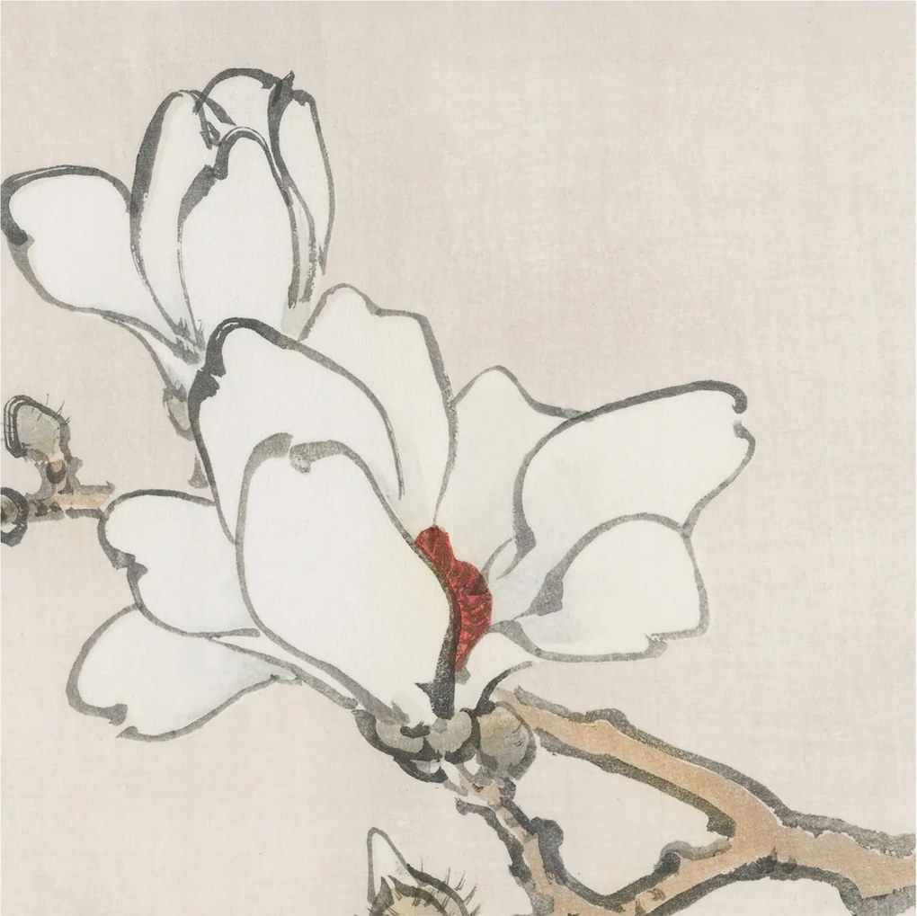 Dekoratív Fotótapéta Fali Falra Finom magnólia 250x250 Ragasztó