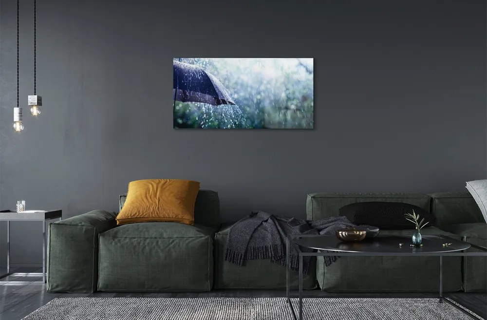 Akrilkép Esernyő eső esik 100x50 cm