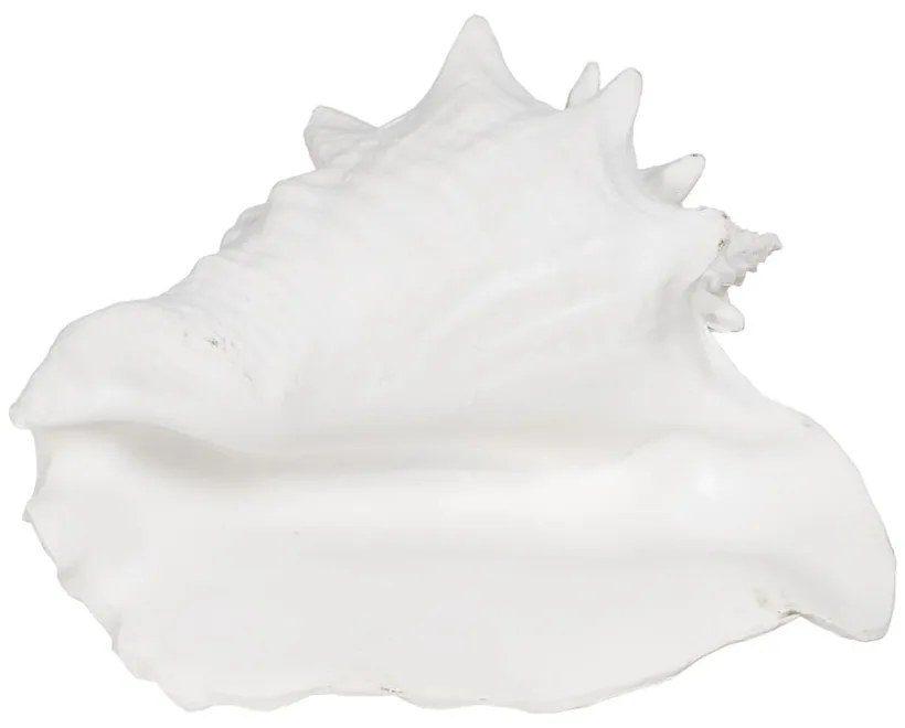 Poligyanta szobor (magasság 13 cm) Seashell – Ixia