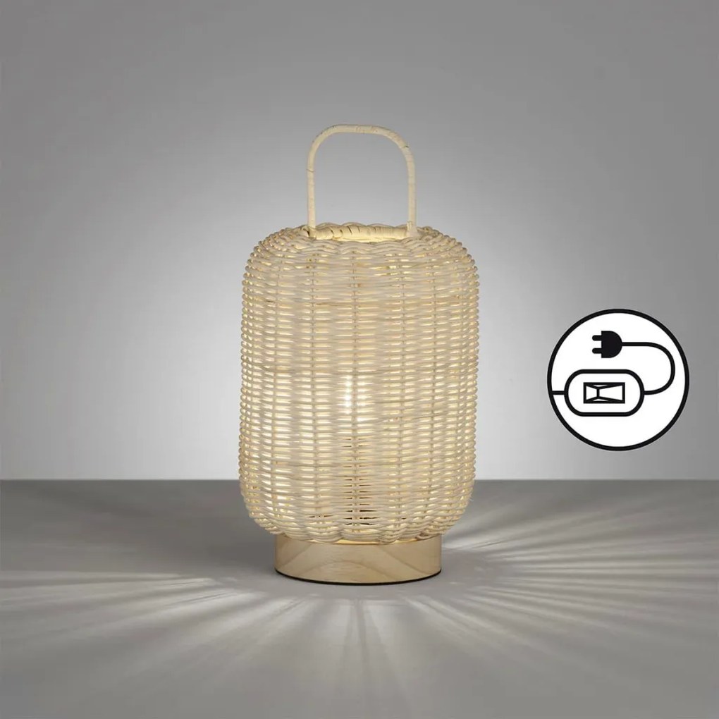Fischer&Honsel Nature 50738 Asztali lámpa 1x25W/E14 IP20