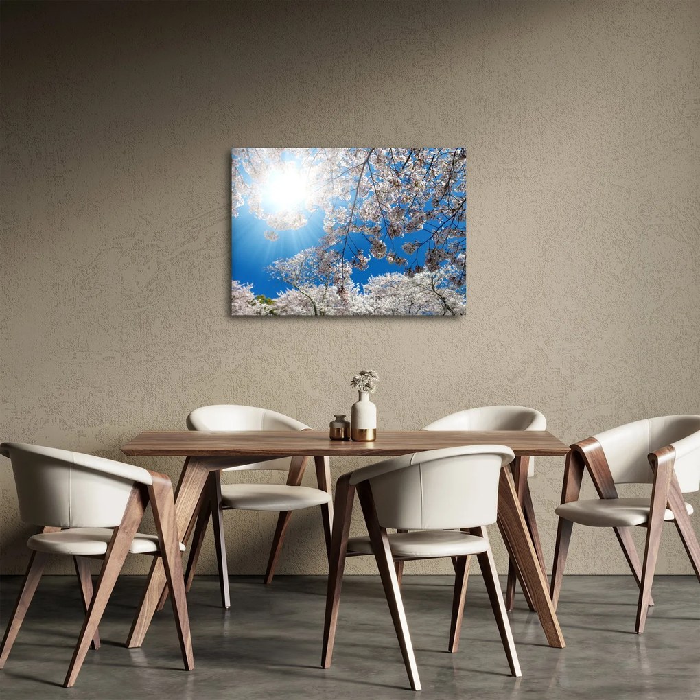 Kép - Cseresznyevirág (70x50 cm)