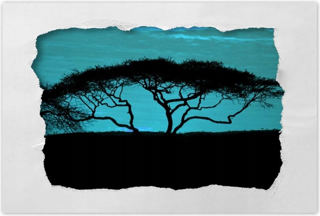 Poszterek 90x60 Akác a szavannán