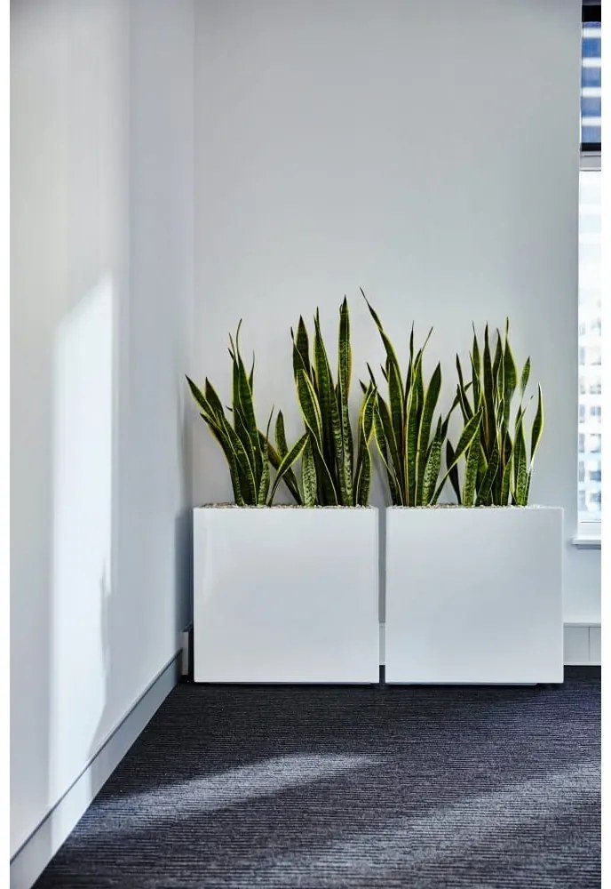 PX B Szögletes Üvegszálas Elegáns Kaspó - fehér