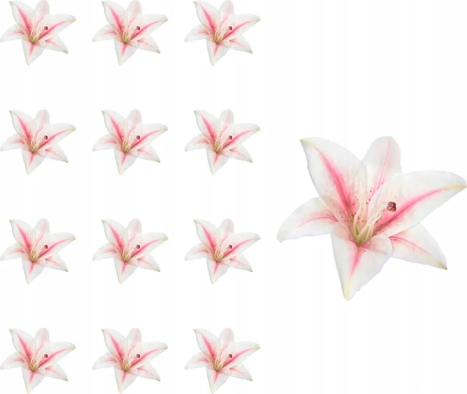 Liliom fej krémrózsaszín művirág nád készítéséhez 12 db
