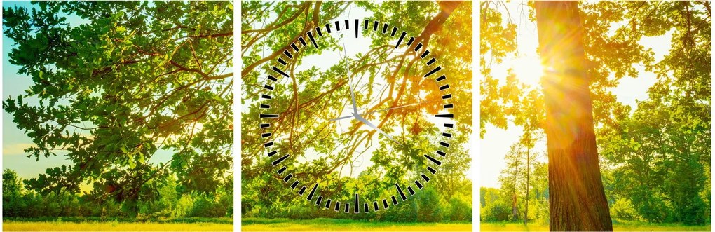 Kép - Sunny Forest (órával) (90x30 cm)
