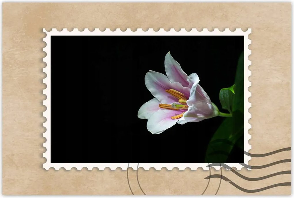 Poszterek 120x80 Virágzó rózsaszín liliom