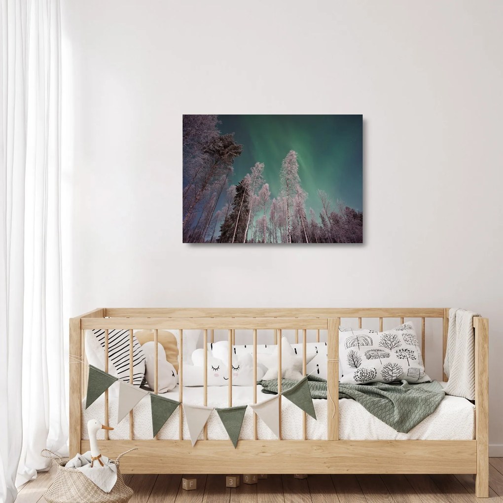 Az aurora borealis képe fagyos fák felett (üvegen) (70x50 cm)