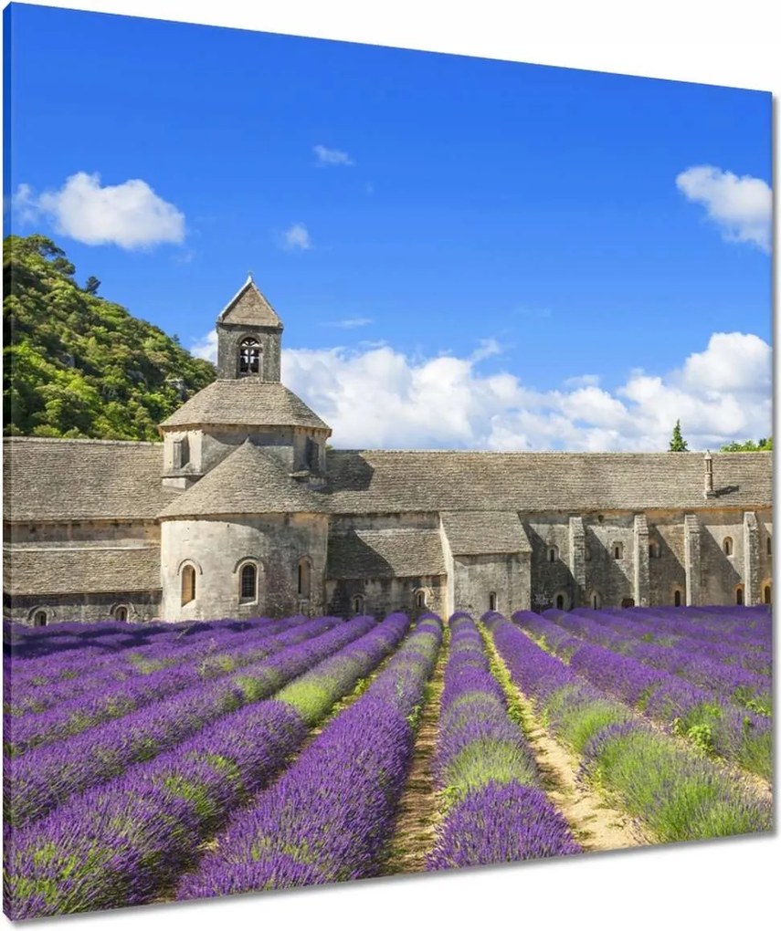 Vászonkép 90x90 Francia Provence és a levendula