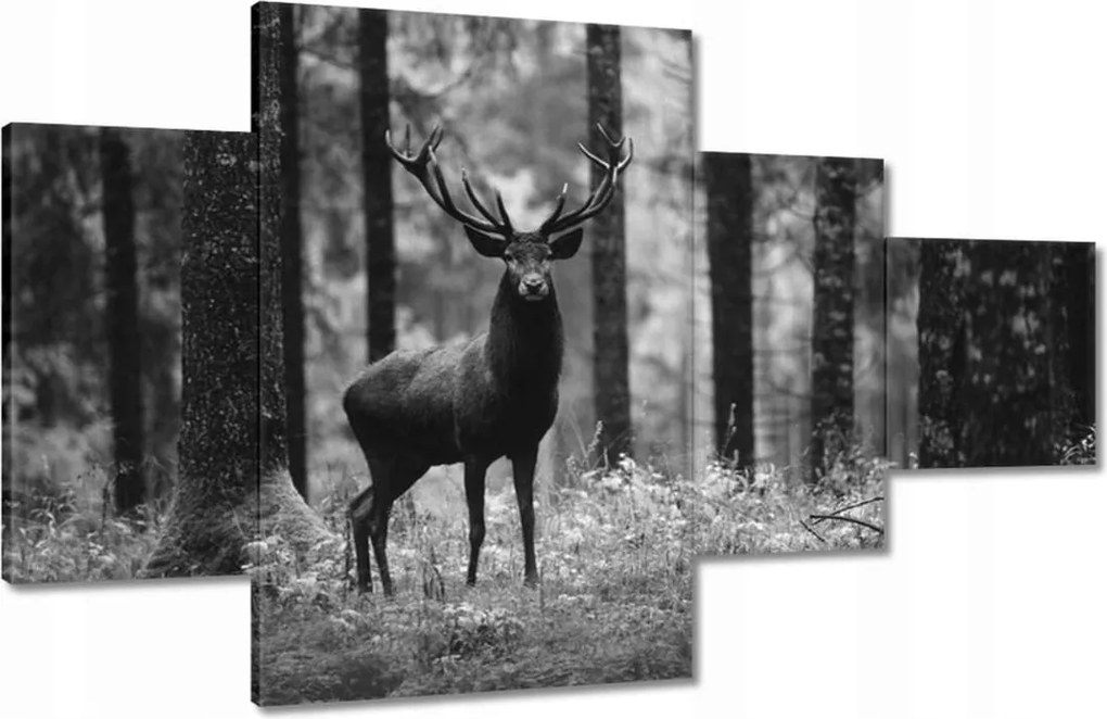 Vászonkép 130x80 Szarvas az erdőben B&amp;w