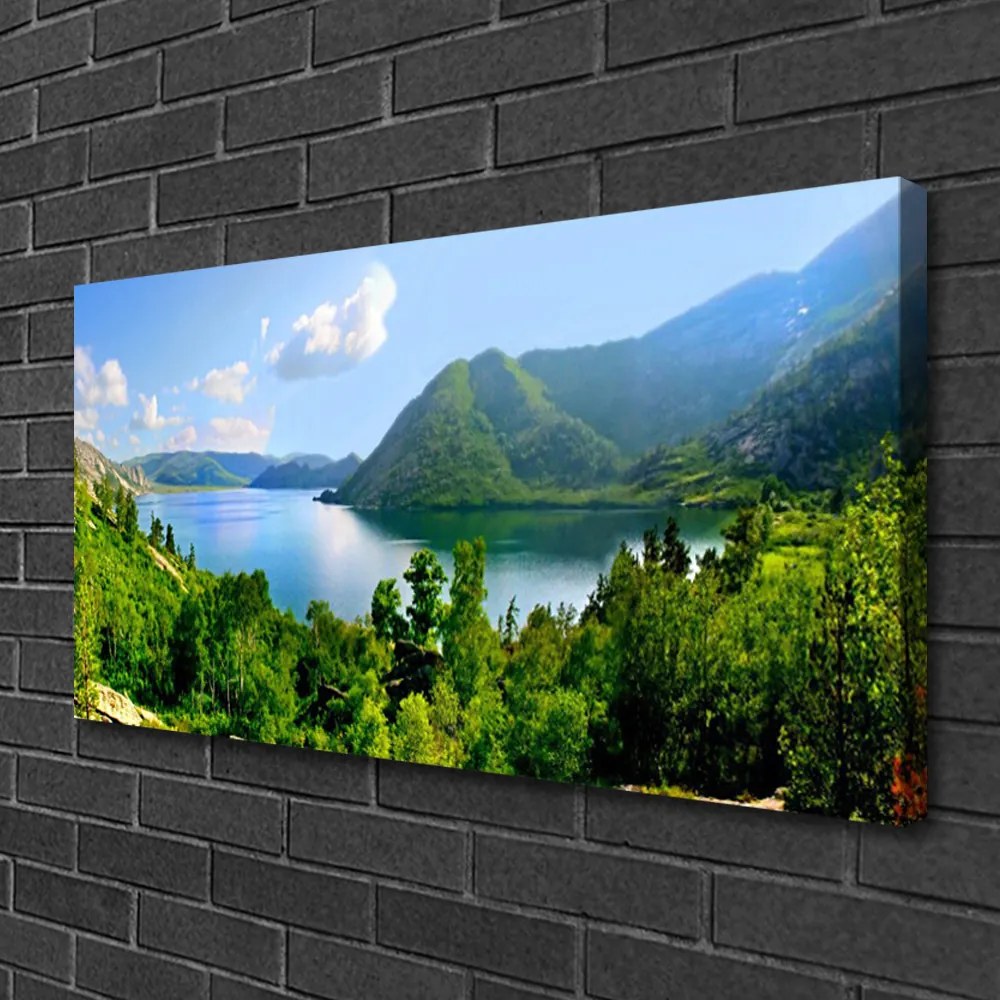 Vászonkép falra Forest Lake hegyek táj 100x50 cm