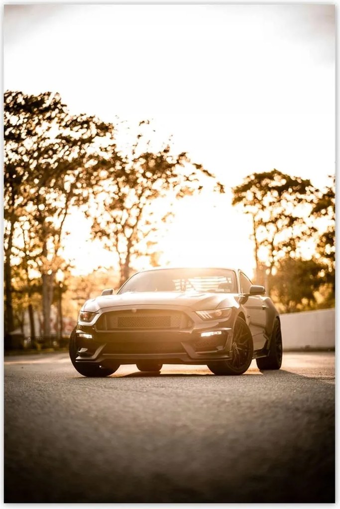 Poszterek 60x90 Autó-Motor Autók