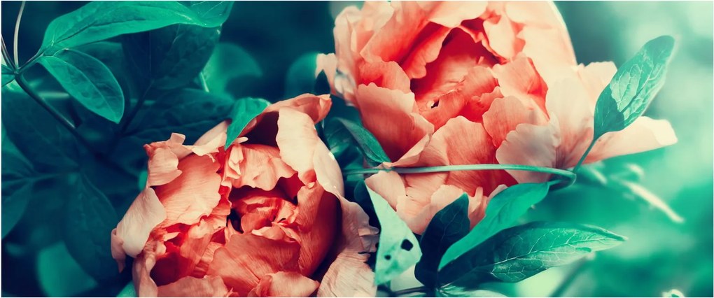 Tavaszi virágok képe (120x50 cm)