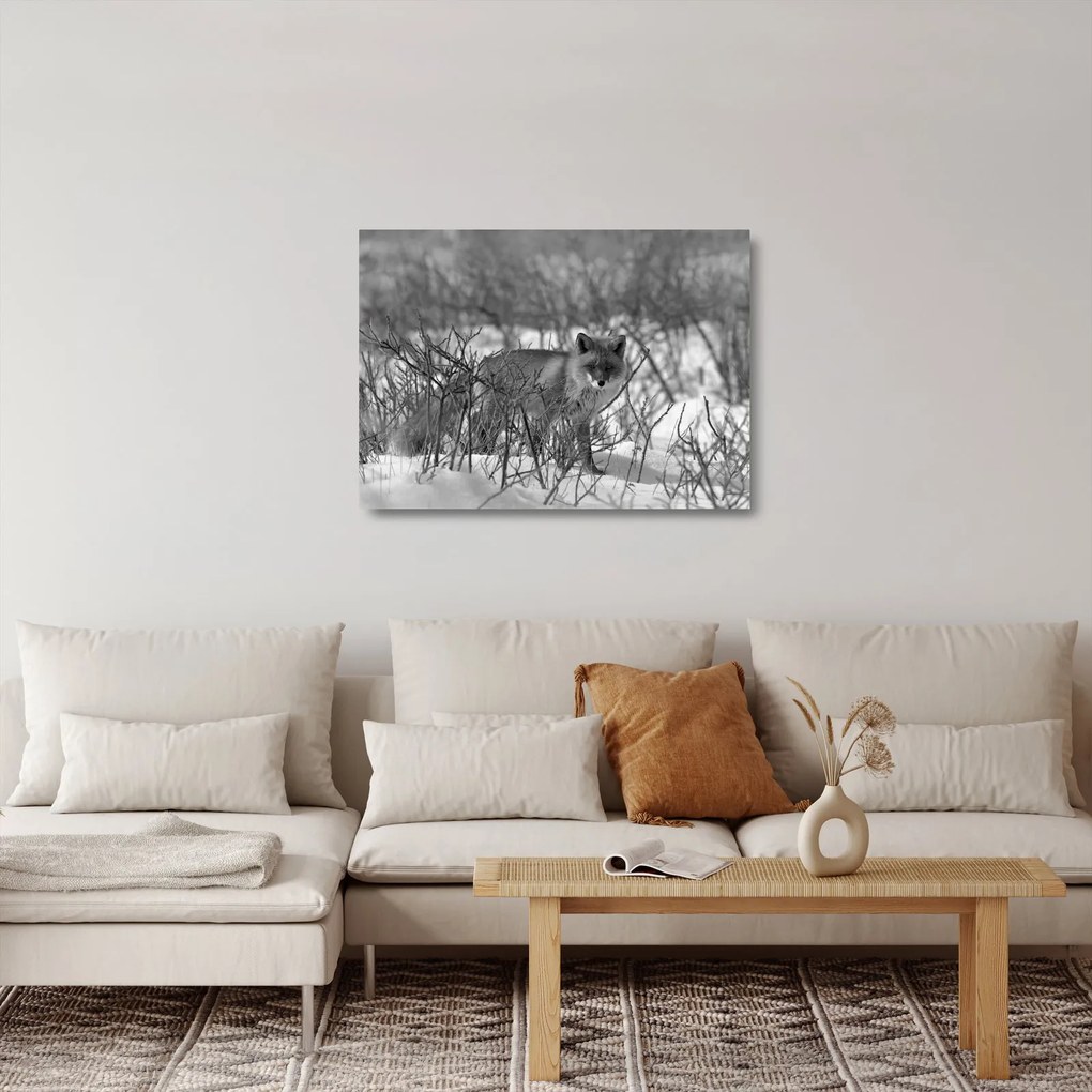 Üveg kép - Róka télen (70x50 cm)