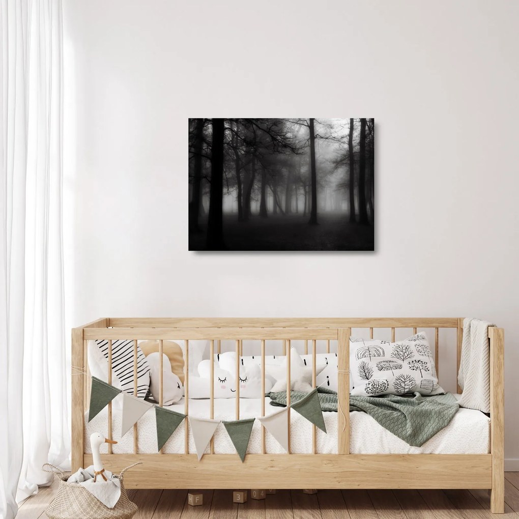 Kép - erdő a ködben (üvegen) (70x50 cm)