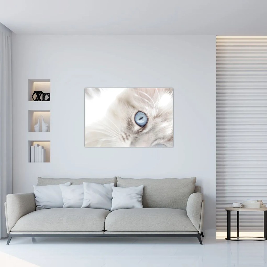Kép - Kék szemű macska (90x60 cm)