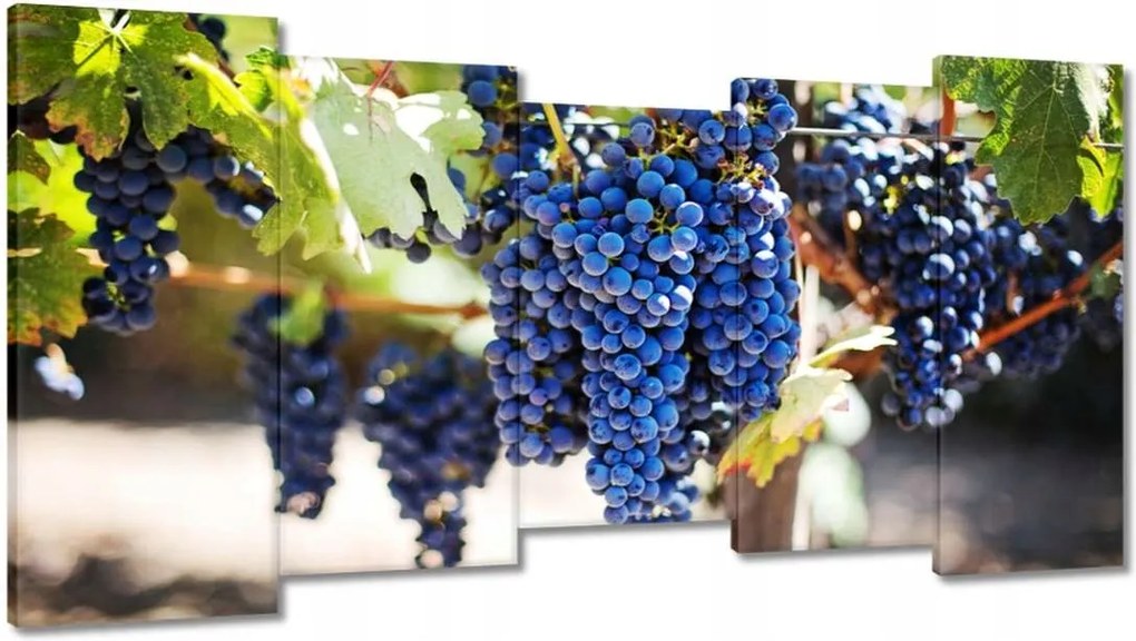 Képek 150x80 Bor Szőlő Szőlőbirtok