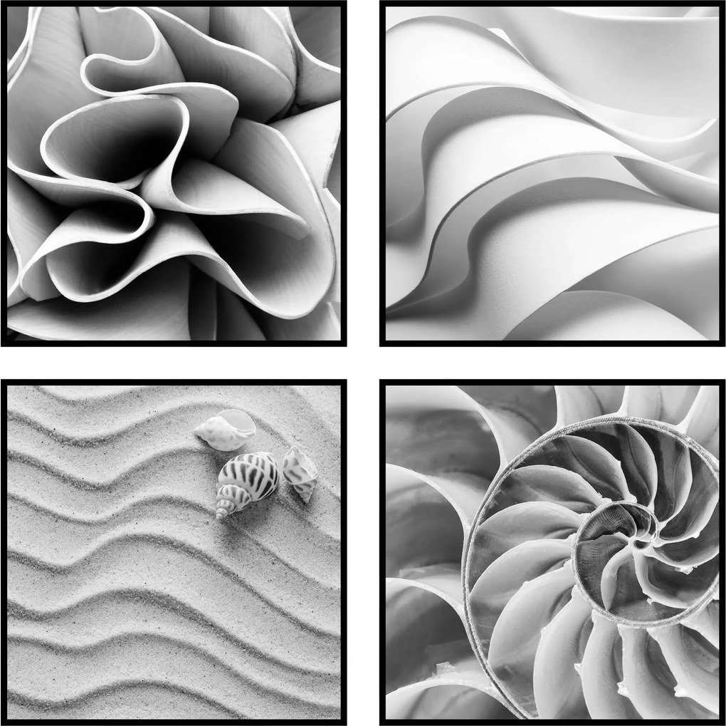 4 db-os négyzet alakú poszter szett 40x40 fekete-fehér
