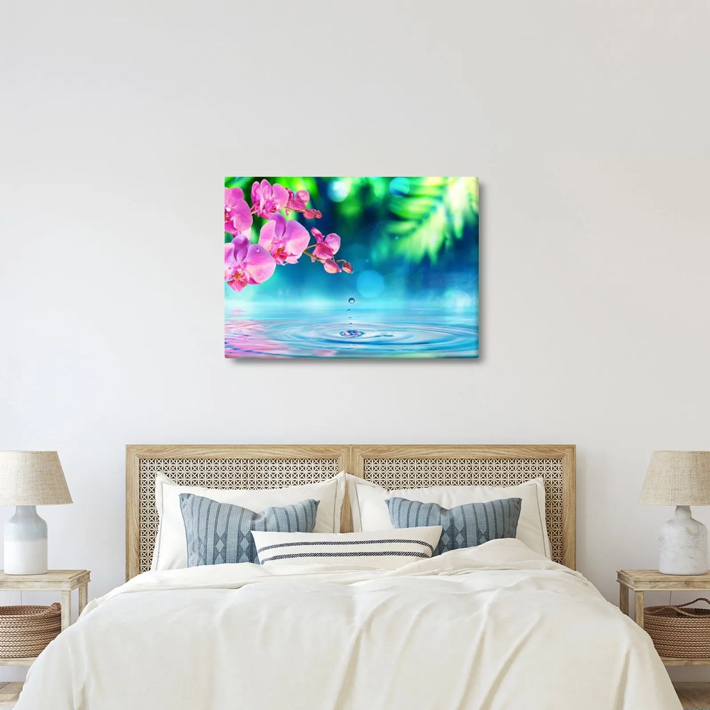 Kép - Orchidea (70x50 cm)
