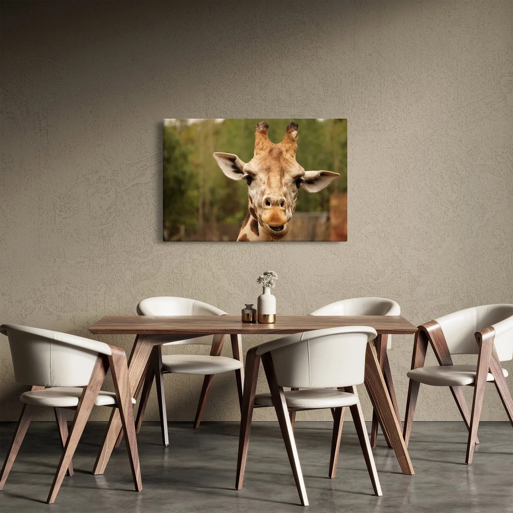 Egy zsiráf képe (90x60 cm)