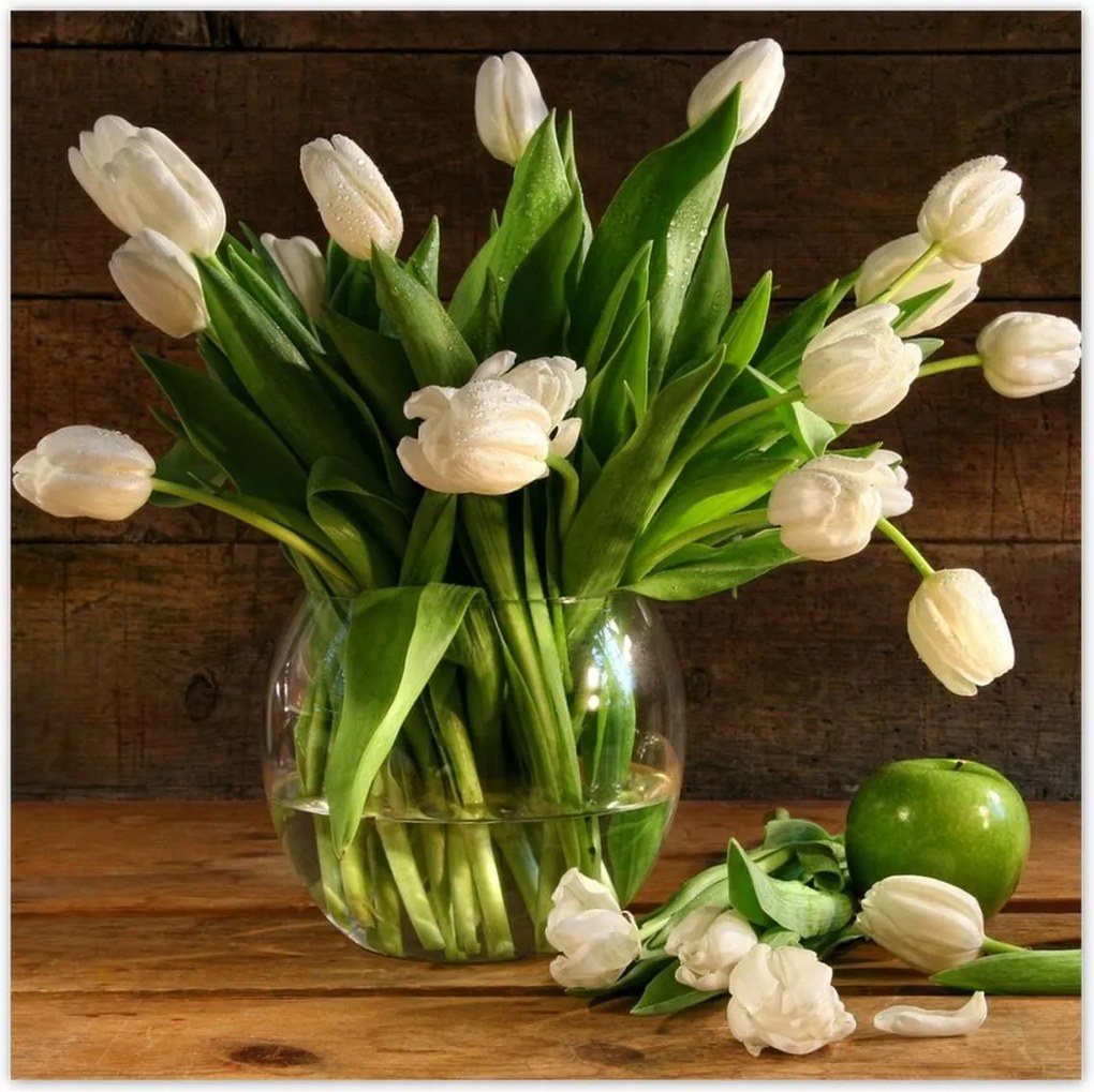 Poszterek 100x100 Fehér tulipánok Deszka