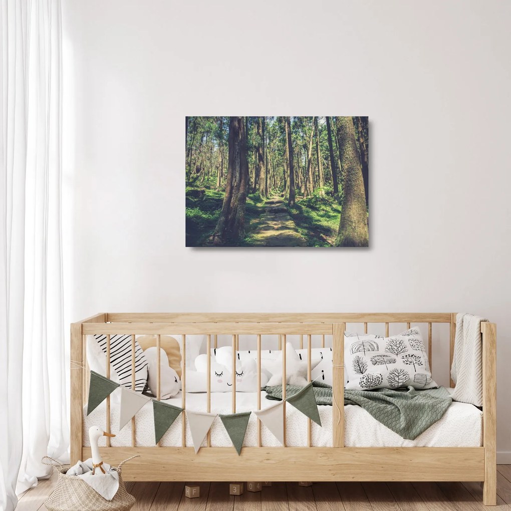 Kép egy út a fák között (üvegen) (70x50 cm)
