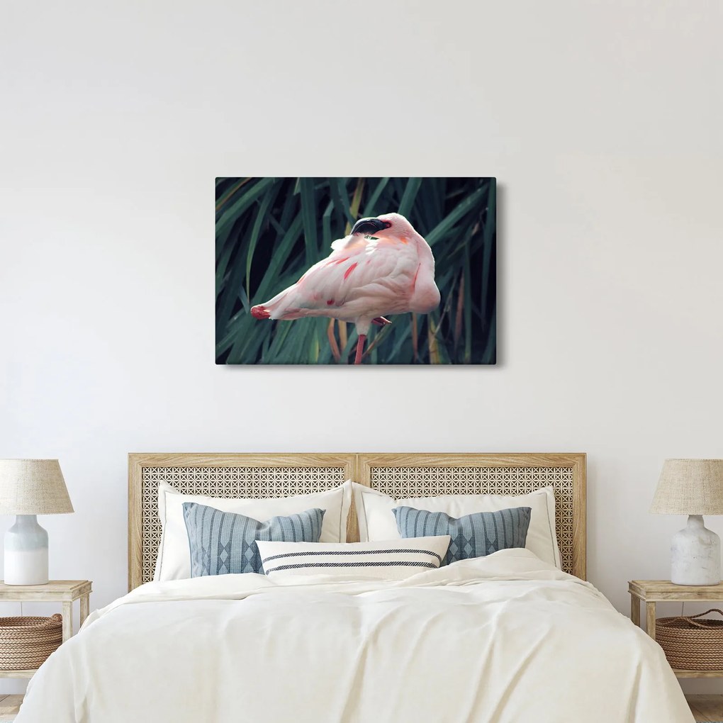 Kép - Flamingó (90x60 cm)