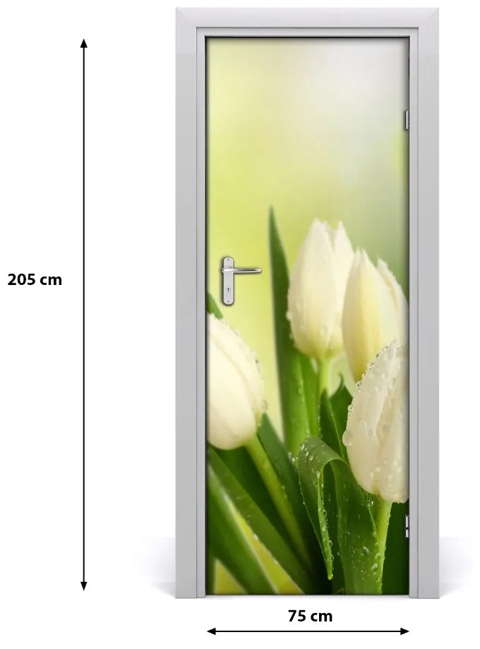 Poszter tapéta ajtóra fehér tulipán 75x205 cm