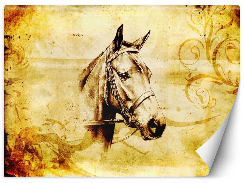 Gario Fotótapéta Ló vázlata Anyag: Vlies, Méret: 300 x 210 cm