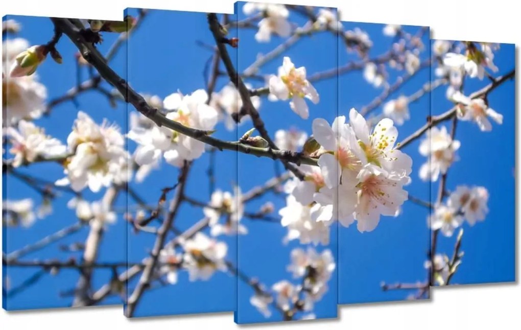 Vászonkép 100x60 Almafa virág