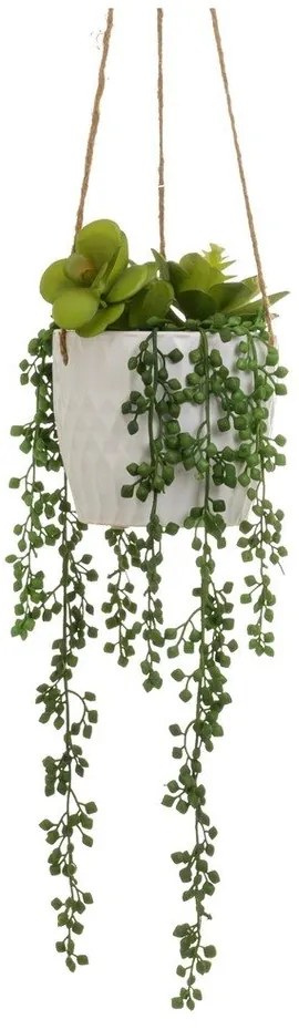 Műnövény (magasság 40 cm) – Casa Selección