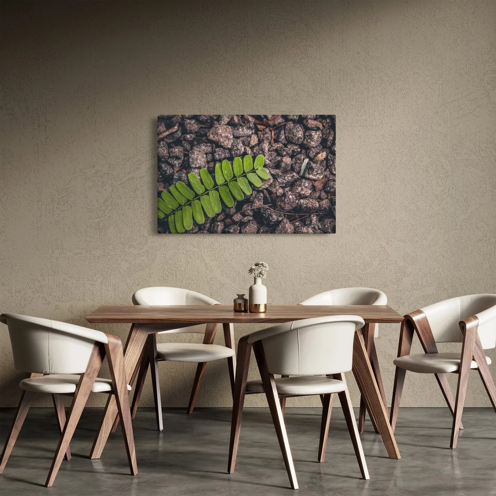 Zöld növények képe (90x60 cm)