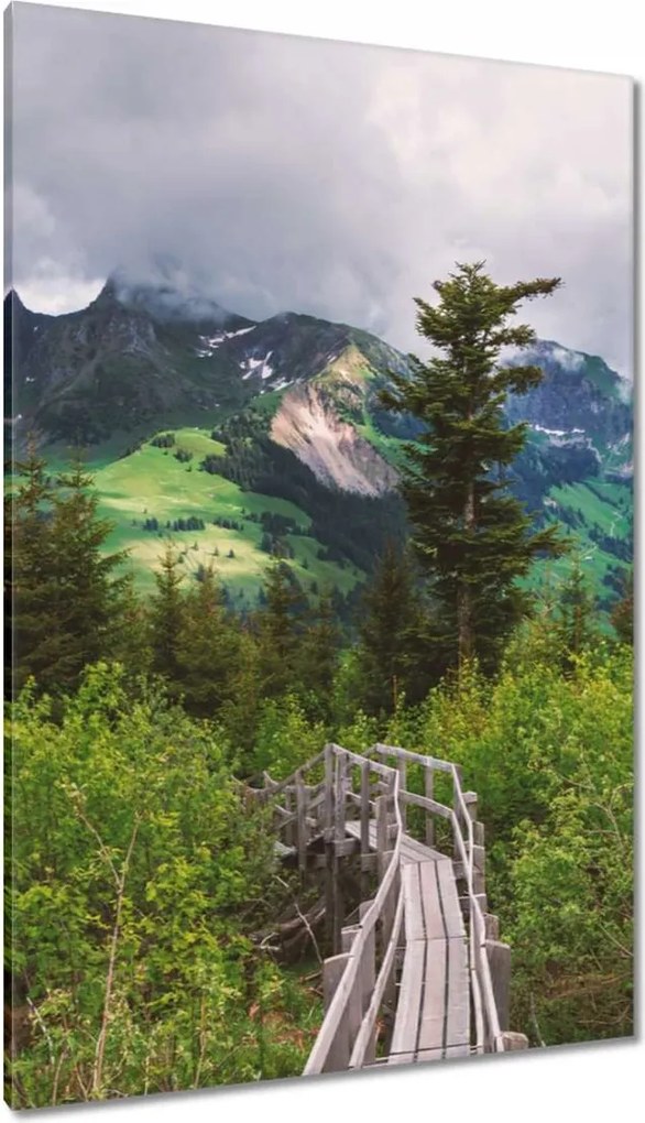 Festmények 80x120 Híd Építészet Tájkép