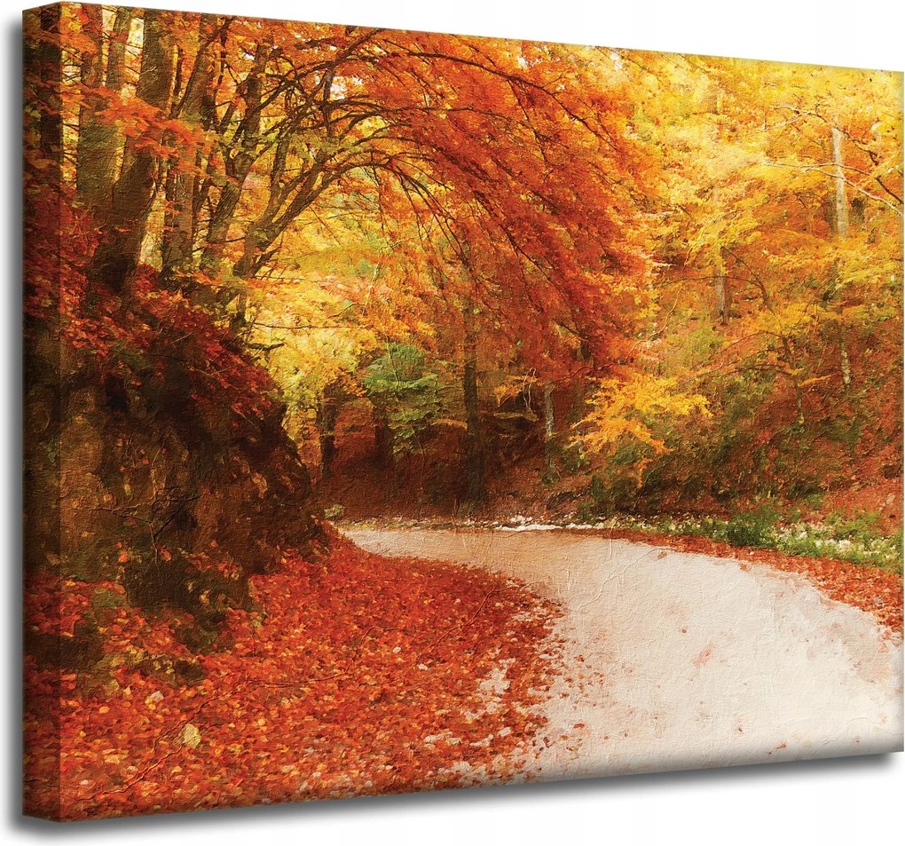 Vászonkép Ösvény az őszi erdőben Színes levelek 50x40 cm