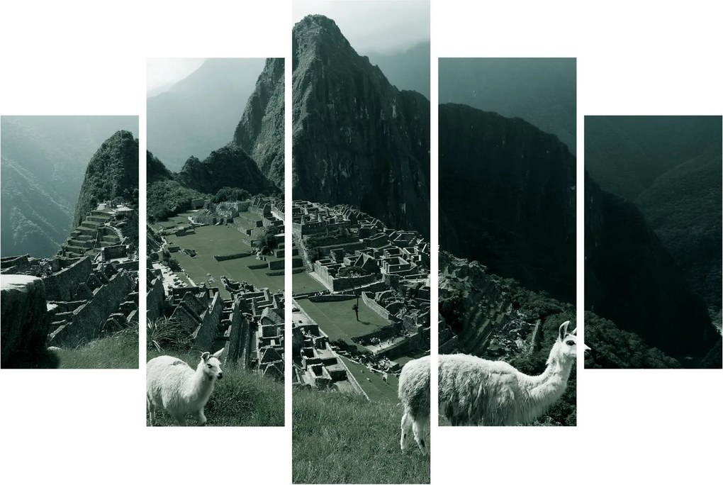 Kép - Lámák a perui Machu Picchunál (150x105 cm)